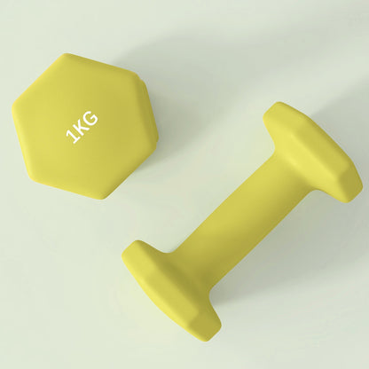 Set of 6 Dumbbells, Hexagonal Weights Pair, 2 X 3Kg, 2 X 4Kg, 2 X 5Kg - Top Beat Cart