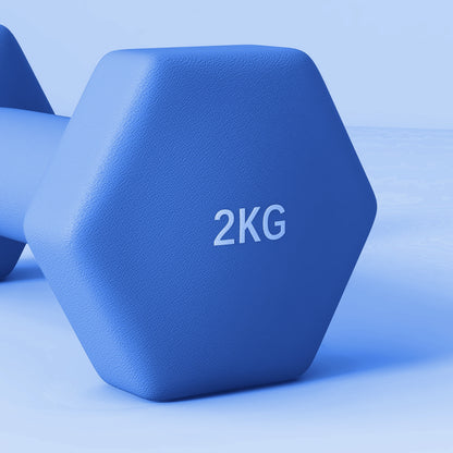 Set of 6 Dumbbells, Hexagonal Weights Pair, 2 X 3Kg, 2 X 4Kg, 2 X 5Kg - Top Beat Cart