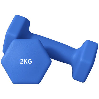 Set of 6 Dumbbells, Hexagonal Weights Pair, 2 X 3Kg, 2 X 4Kg, 2 X 5Kg - Top Beat Cart