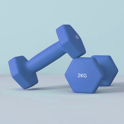 Set of 6 Dumbbells, Hexagonal Weights Pair, 2 X 3Kg, 2 X 4Kg, 2 X 5Kg - Top Beat Cart