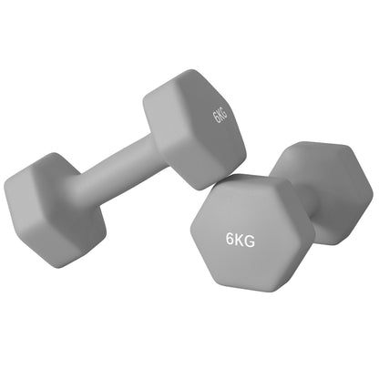 Set of 6 Dumbbells, Hexagonal Weights Pair, 2 X 3Kg, 2 X 4Kg, 2 X 5Kg - Top Beat Cart