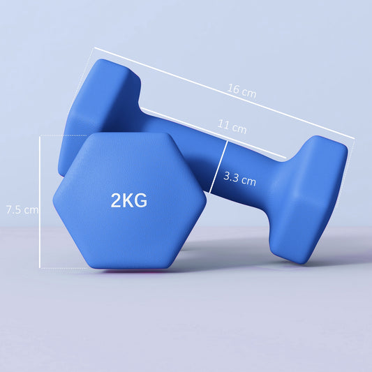 Set of 6 Dumbbells, Hexagonal Weights Pair, 2 X 3Kg, 2 X 4Kg, 2 X 5Kg - Top Beat Cart