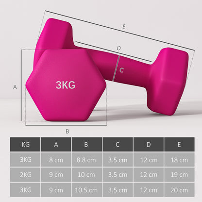 Set of 6 Dumbbells, Hexagonal Weights Pair, 2 X 3Kg, 2 X 4Kg, 2 X 5Kg - Top Beat Cart